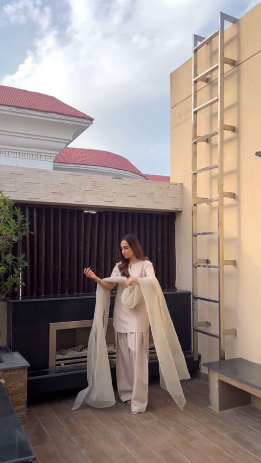 Silver Farshi Shalwar Kameez