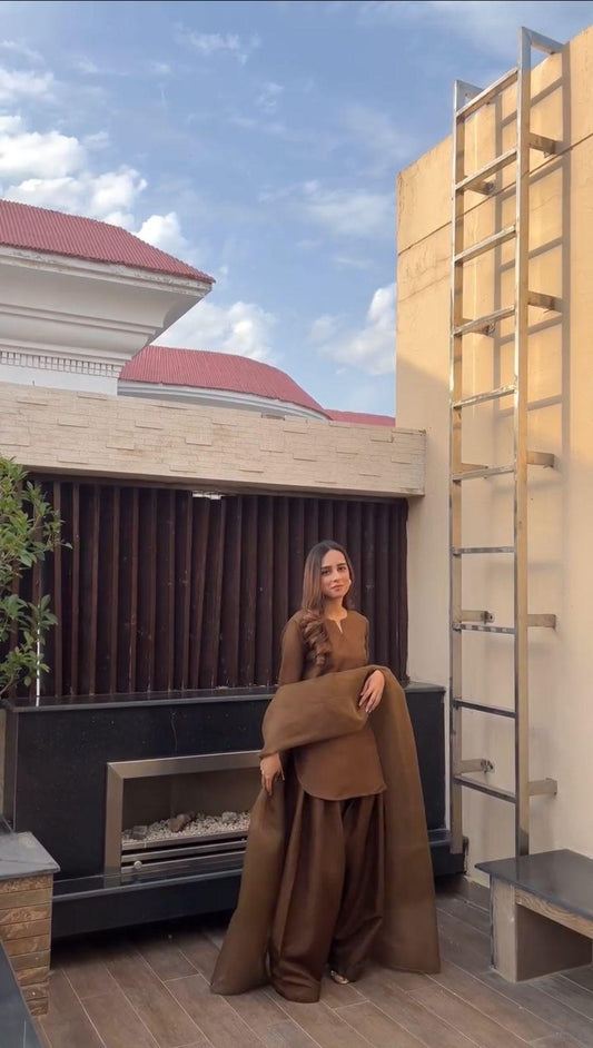 Brown Farshi Shalwar Kameez