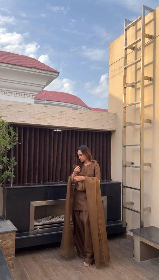 Brown Farshi Shalwar Kameez